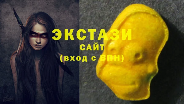 индика Абаза