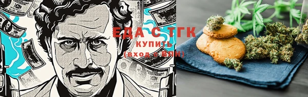 индика Абаза