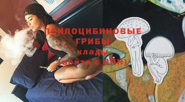 прущие грибы Саяногорск